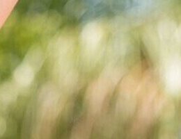 Жизнь Прекрасна — фото 5