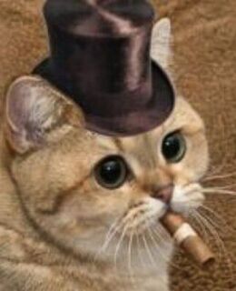 Абу Пацанчик